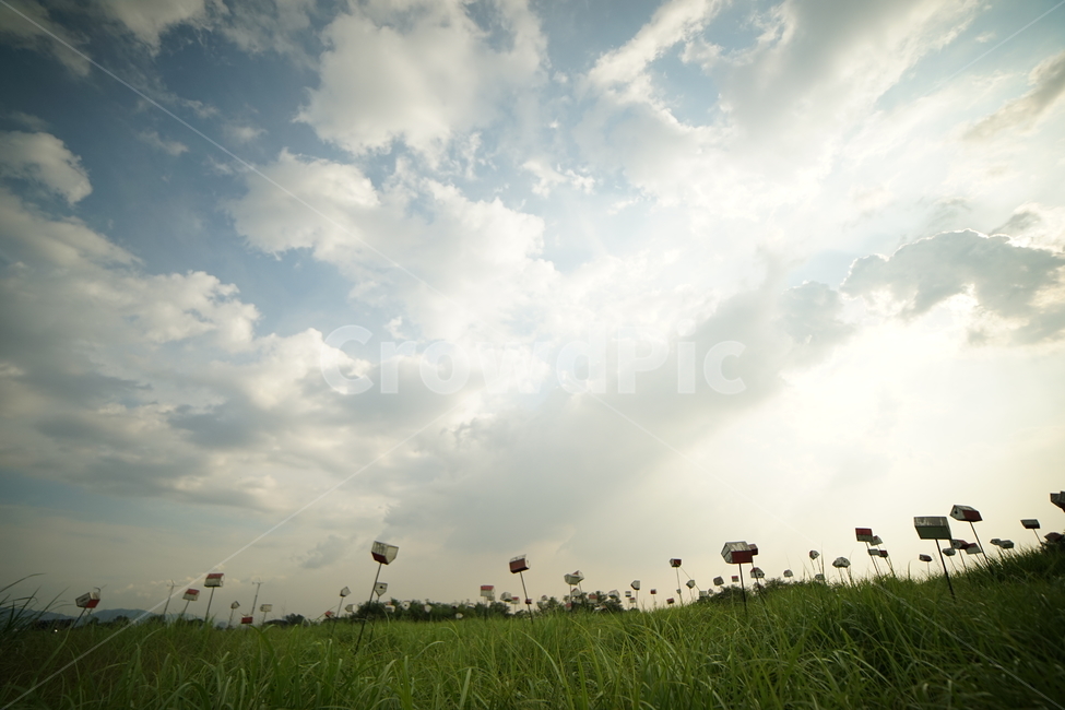 하늘공원,하늘풍경,구름,새집,여름하늘,여름,하늘,광각,자연,풍경,nature,landscape,outdoors,옥외