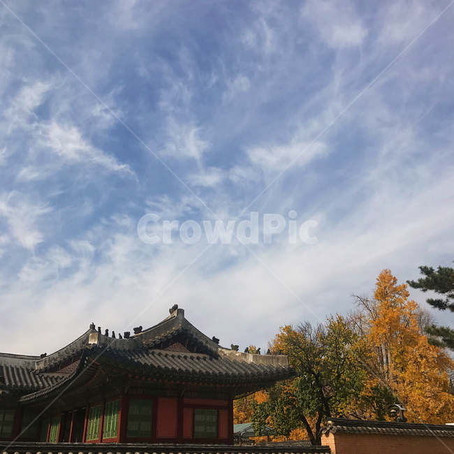 한국,전통,하늘,구름,가을