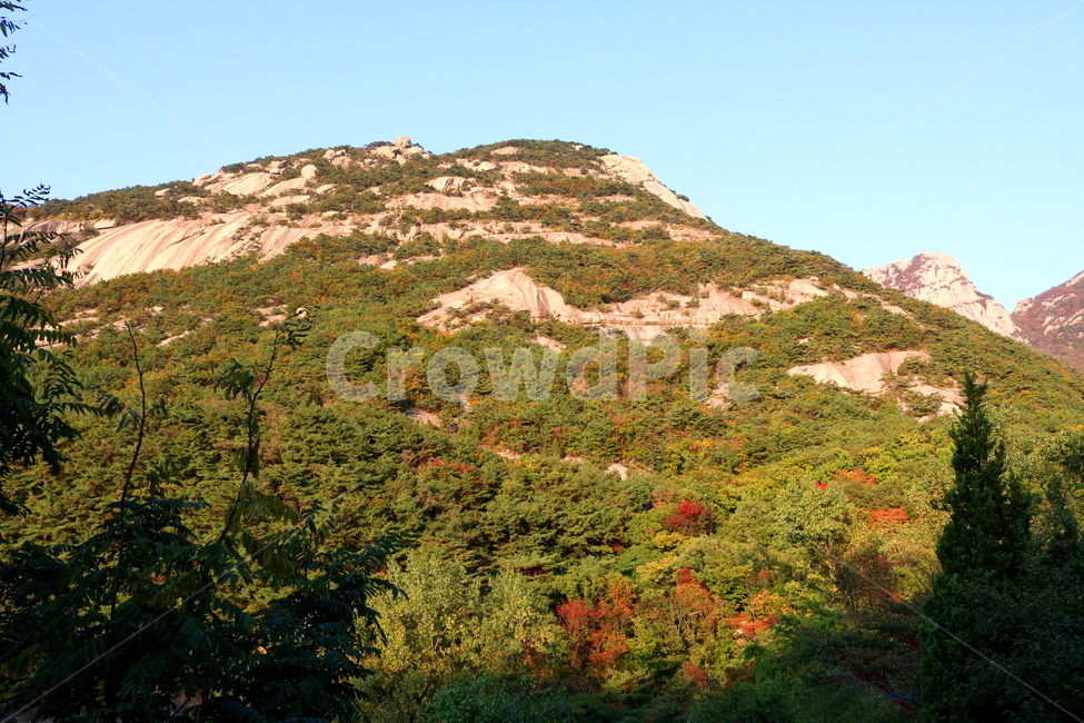 북한산,산,자연,풍경,나무,식물,원효봉,공원,국립공원,북한산국립공원,등산로,산책로,자연,풍경,nature,landscape