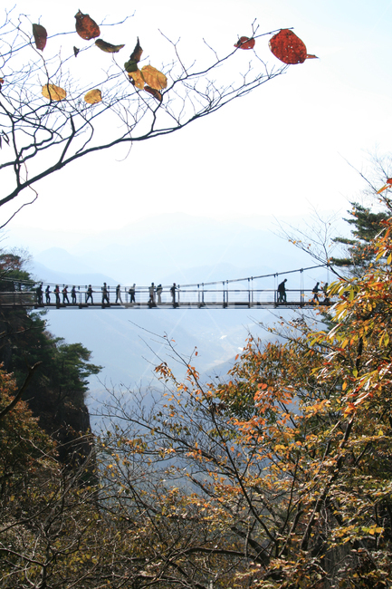 bridge,다리,가을,구름다리,산,대둔산,한국,등산,단풍