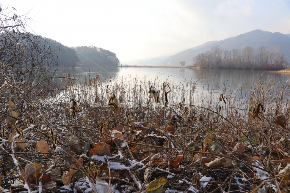풍경,눈오는날,강,산,반영,겨울,계절,winter,season,자연,풍경,nature,landscape,한국자연풍경,한국자연경관,korea nature landscape,outdoors,옥외