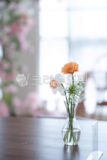 꽃,화병,배경이미지,꽃병,flower,축하,테이블,아련함,따스함,따뜻