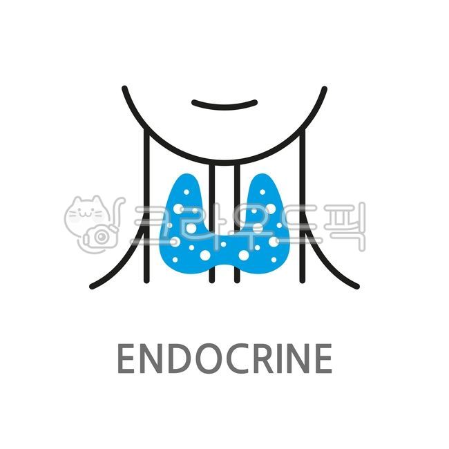 내분비,내분비샘,침샘,신체,건강,신체건강,의료,병원,내과,진료,검사,환자,갑상선,내분비학,해부,신체해부,상징,로고,심벌,엠블럼,레이블,아이콘