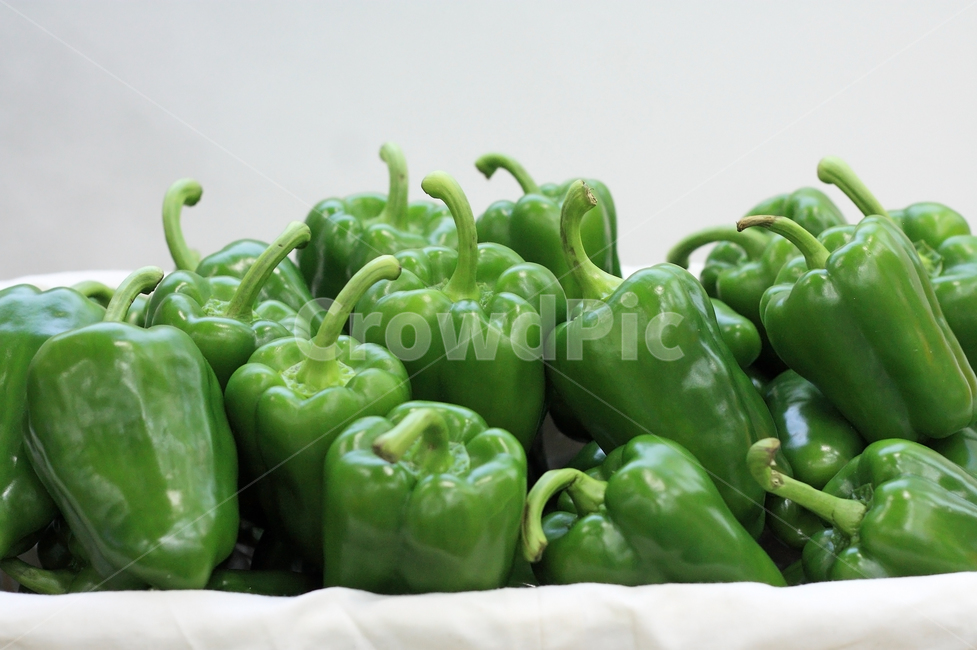 피망,파프리카,야채,녹색,영양,건강,채소,농산물,농작물,음식,재료,음식재료,식재료,오브젝트,생활,신선한,여러개,식품,음식,식재료,요리,food,cook,meal,dishes,food reserves,채소,야채,vegetables