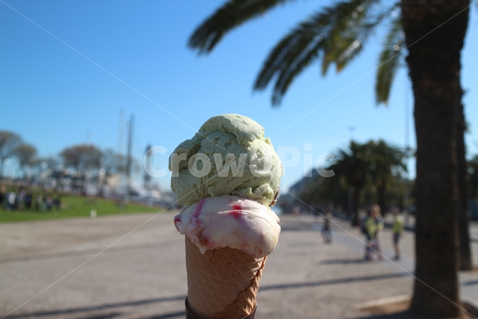 아이스크림,휴양,휴가,젤라또,바르셀로나,여행지,야자수,여름,휴식,디저트,icecream,디저트,간식,후식,dessert,snack