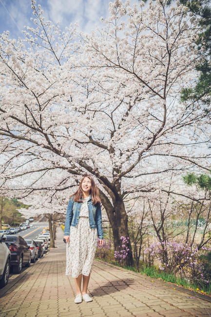 여자,벚꽃,flower,girl,woman,cheeryblossom,portrait,봄,계절,spring,season,사람,인물,인간,human,person,여성,여자,woman,female,lady,plant,식물,꽃,blossom