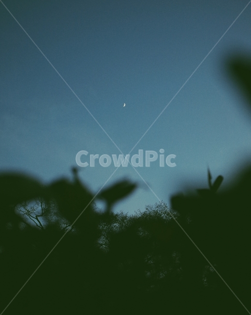달사진,자연사진,리코gr2,저녁감성,landscape,풍경사진,밤하늘,자연,풍경,nature,landscape,야경,밤,nightscape,night,감성,sensible,feeling,outdoors,옥외,light,빛,flare,플레어