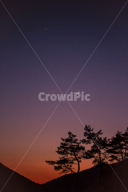 달,하늘,나무,노을,공존,야경,밤,풍경,nightscape,night,landscape