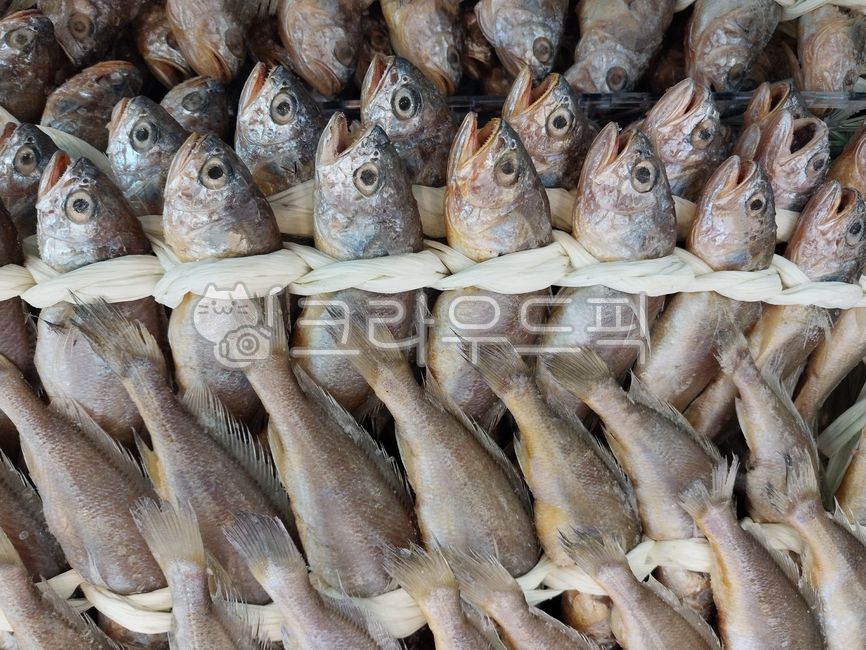 생선, 조기, 굴비, fish, yellowcroaker, 사진,이미지,일러스트,캘리그라피 - 오작교작가