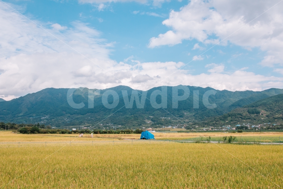 가을,하늘,논,추수,벼,초록,농촌,시골,농사,한국,korea,자연,풍경,nature,landscape,가을,계절,fall,autumn,season,시골,마을,country,rural,town,한국자연풍경,한국자연경관,korea nature landscape,outdoors,옥외,field,들,grassland,목초지