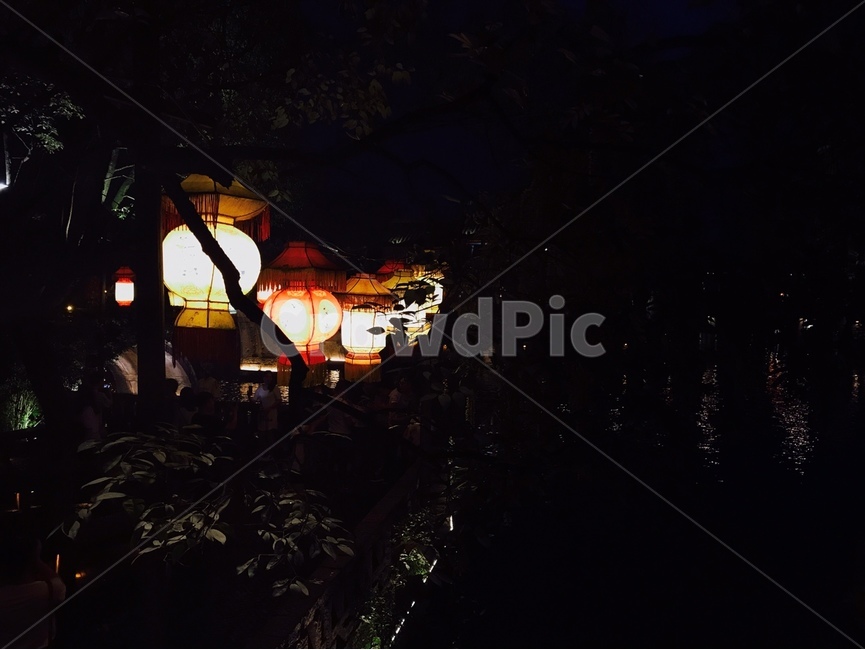 풍경,자연,light,빛,조명,lighting,플레어