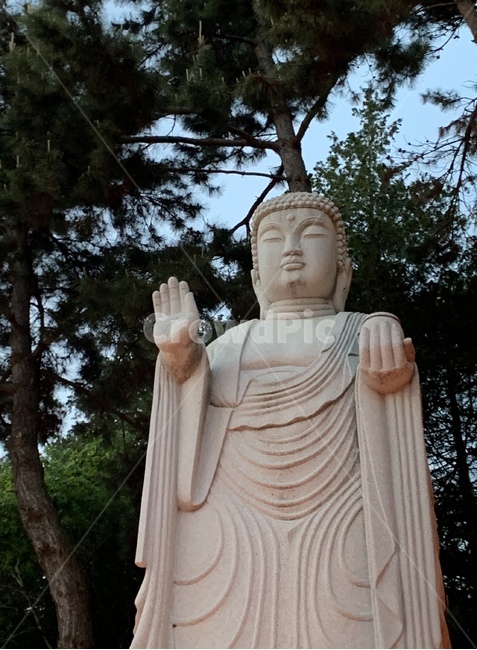 부처님오신날,절,연등,불상,불교,풍경,감성