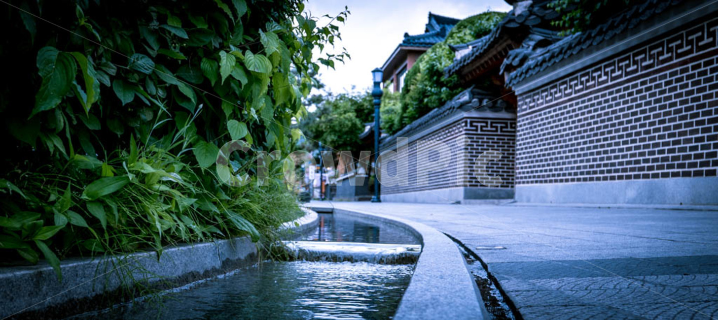 전주,전주한옥마을,가옥,길,주택