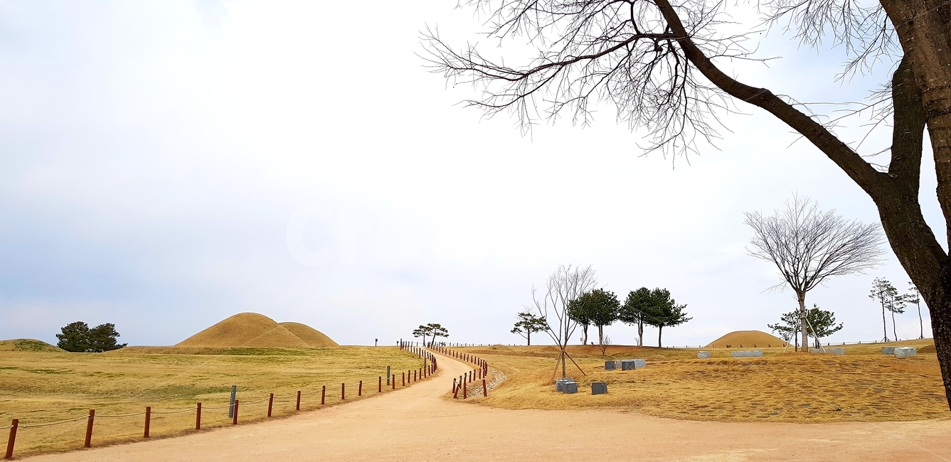 고분,의성군,조문국,고분군,왕릉,자연,풍경,nature,landscape,outdoors,옥외,grassland,목초지,field,들,savanna,대초원