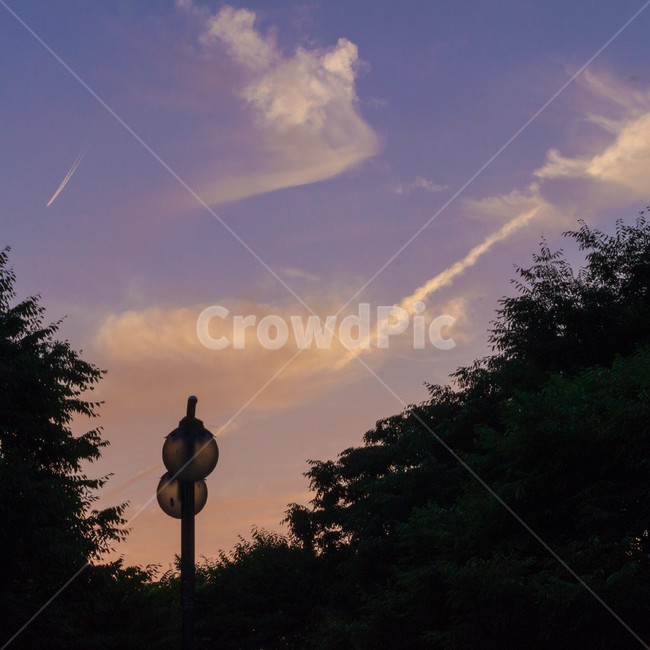 노을,가로등,나무,하늘,구름,자연,풍경,nature,landscape,tree,plant,식물,fir,전나무