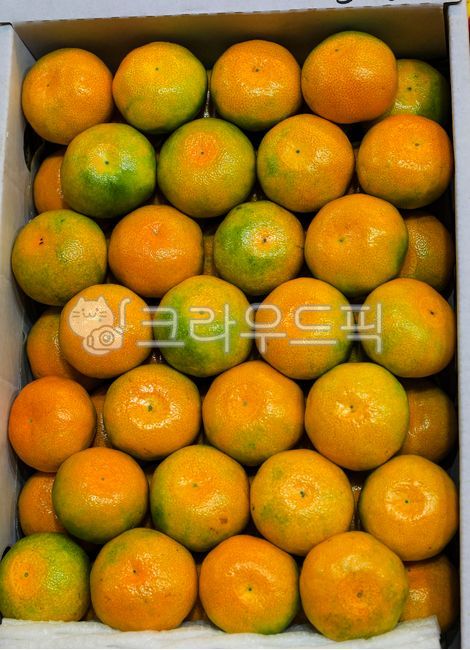 mandarin,Sweet and sour,citrus fruits,fruit,yellow,box,Orange,delicious,food,open field tangerines,tangerines,citrus,orange,house tangerines,autumn,Jeju tangerines,Tangerine Box,Tangerine box