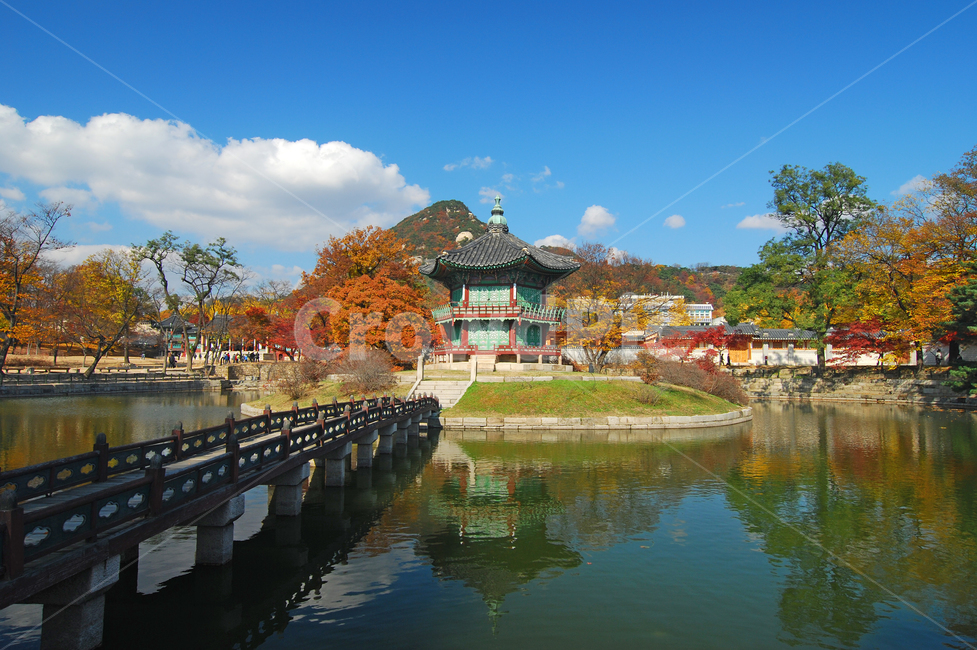 경복궁,향원정,정자,고궁,궁,궁궐,하늘,연못,명소,단풍,가을,가을풍경,건축,전통,한국,한국전통,전통건축,전통건축물,건물,반영,계절,다리,자연,풍경,나무,숲,구름,사적,역사,문화재,기와,물,물결,아름다운,서울