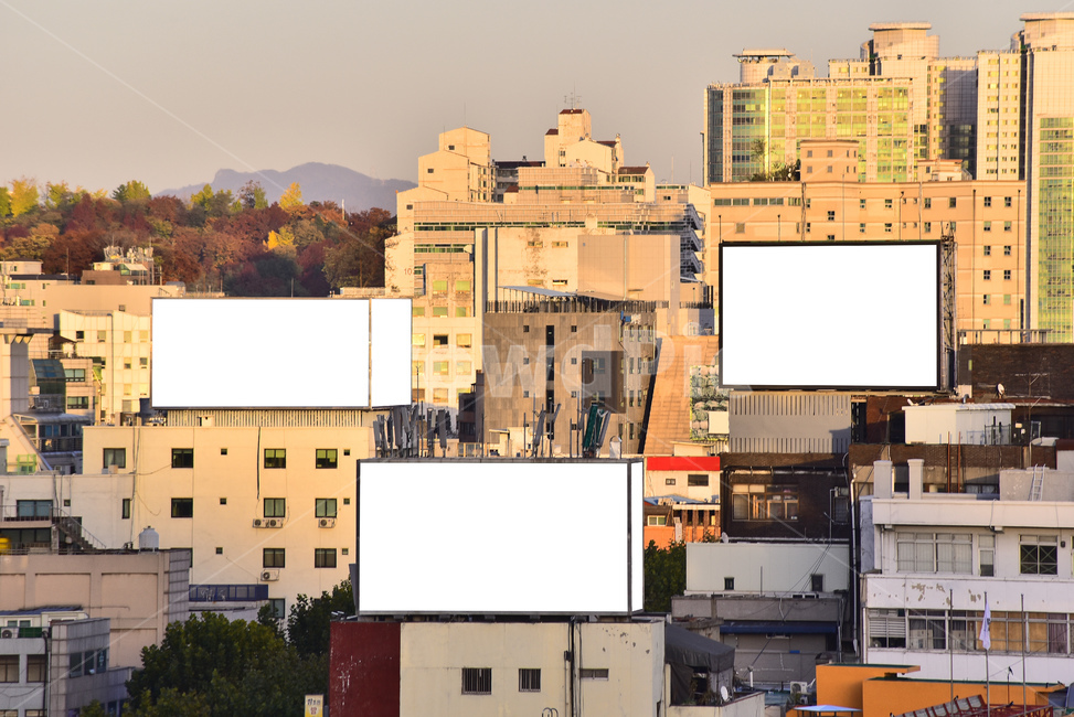 목업,mokup,전광판,빌보드,구조물,안내판,스크린,실물모형,싸인,옥외광고판,광고,advertisement,billboard,광고판,판넬,비즈니스,비지니스,business,모크업,싸인보드,빈공간,상업광고판,도시,야외,옥외,배경,바탕,백그라운드,간판,사인보드,상업광고,커머셜,목업이미지,blank,블랭크,비어있는,화면,빌딩,건묵물,프레임,frame,도시,풍경,city,landscape,목업,목업이미지,실물모형,3d,모크업,mockup
