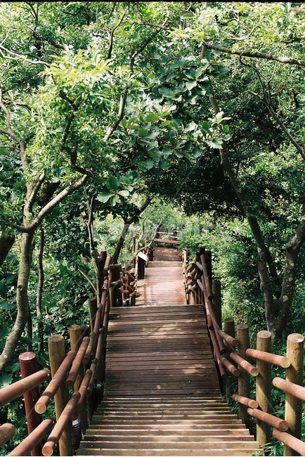 해남땅끝마을,계단,길,봄,spring,green,필름카메라,감성사진,filmphoto,필름사진