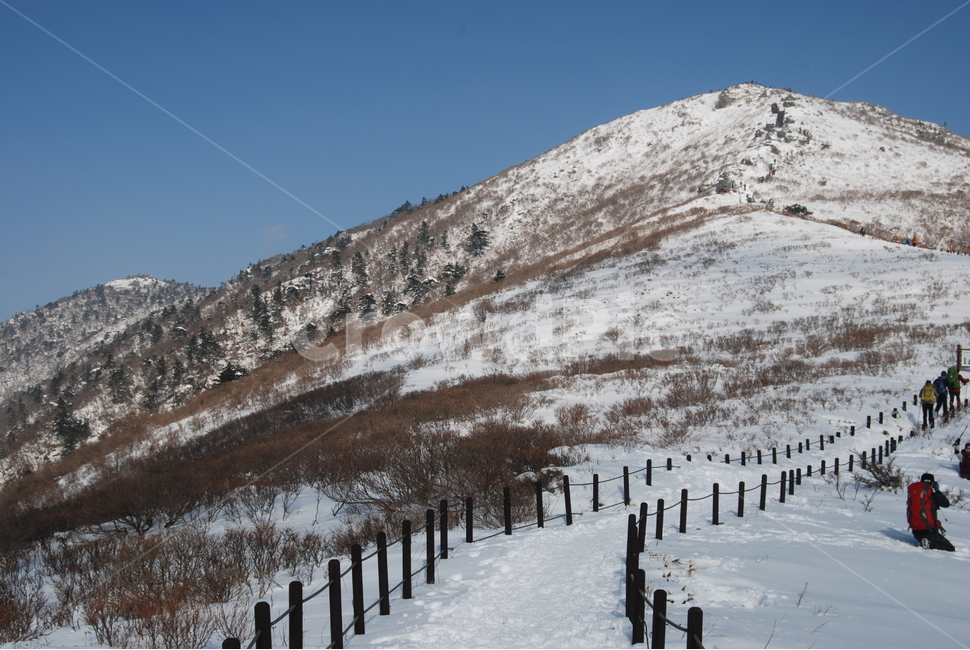 눈,snow,겨울,winter,자연,겨울,계절,winter,season,자연,풍경,nature,landscape,사람들,대중,군중,other people,crowd,outdoors,옥외