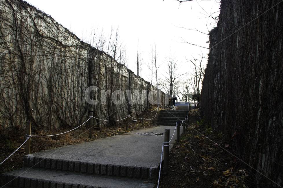 겨울,나무,공원,식물,plant,길,건축물,건물외관,exterior,building,structure,architecture,construction