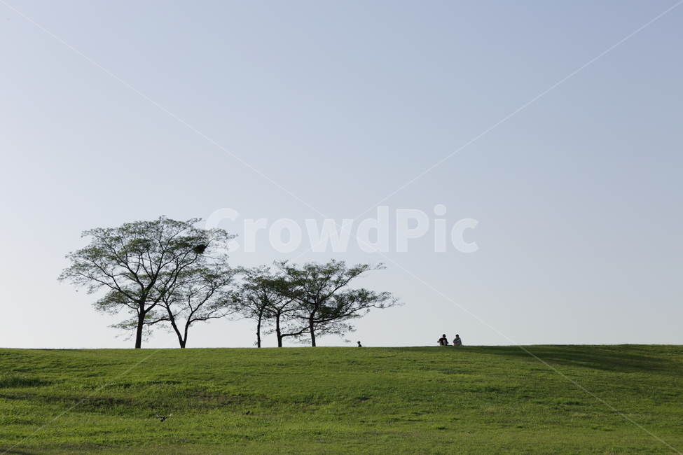 서울올림픽공원,초원,푸른언덕,잔디밭,낭만,자연,풍경,nature,landscape,한국자연풍경,한국자연경관,korea nature landscape,나무,trees,wood,사람,인물,인간,human,person,휴식,힐링,rest,relaxation,healing,plant,식물,grass,잔디,lawn