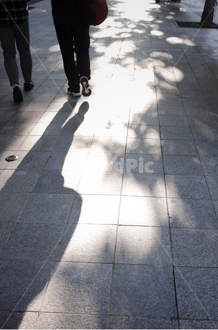 인간,human,person,사람,보행자,pedestrian,그림자,도로,road,shadow