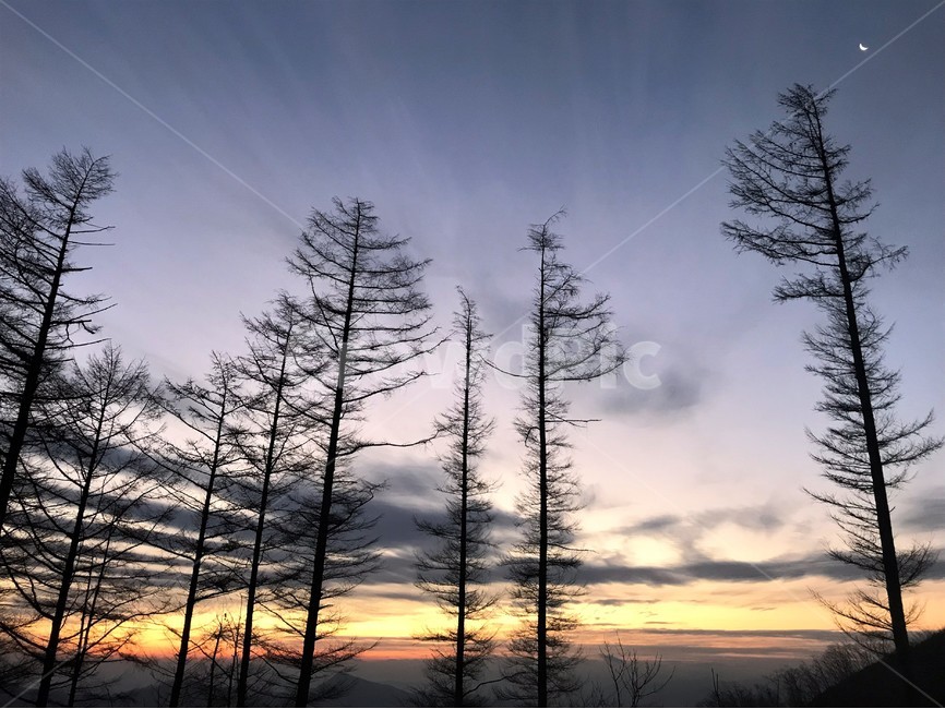 일출,초승달,하늘,구름,산,나무,자연,자연,풍경,nature,landscape