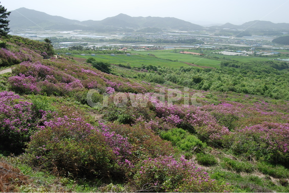 바래봉,세걸산,산철쭉,팔랑치,정령치,자연의위대함,등산로,능선,아름다움,신비스런산,돌,산행,힐링,자연,감성,등산,계절,여행,한국,한국명산,한국등산,풍경,눈,나무,하늘,바람,바람소리,환경,생태계,산,땅,자연,풍경,nature,landscape,한국자연풍경,한국자연경관,korea nature landscape,outdoors,옥외