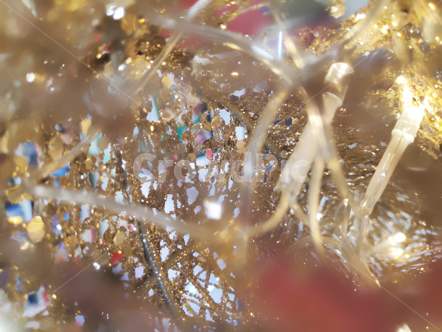 light,빛,크리스마스,장식품,골드,겨울,트리,christmas,ornament,winter,gold