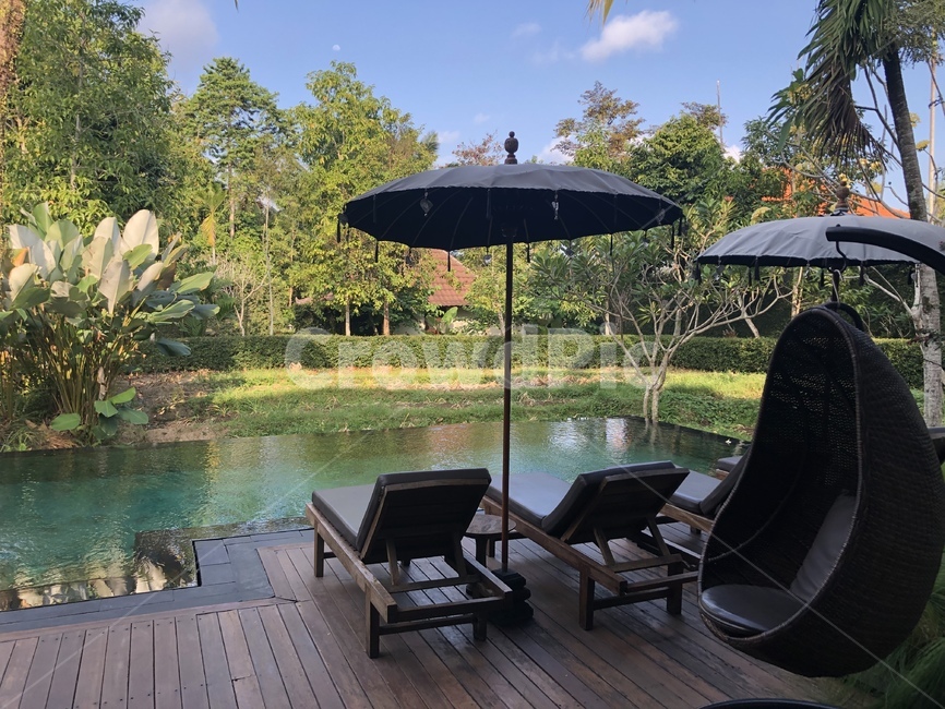 휴가,휴양지,풀빌라,수영장,수영,썬베드,여행,휴가,traveling,vacation,trip