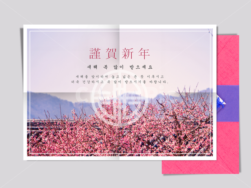 매화,홍매화,전통,명절,신년,설날,구정,설,프레임,연하장,식물,자연,plants,nature,꽃,flower,그래픽,일러스트레이션,graphic,illustration
