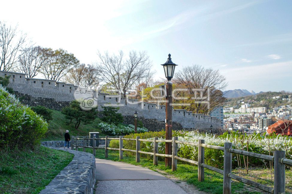 서울,공원,낙산공원,한양도성,서울성곽,산책,산책로,건물,고층건물,도시,시티,성,벽,도로,나무,식물,난간,인간,가로등,building,highrise,urban,city,castle,wall,road,tree,plant,railing,human,streetlamp