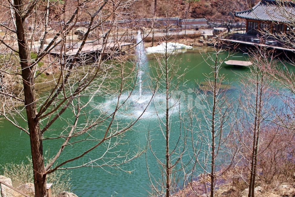 water,물,nature,자연,분수