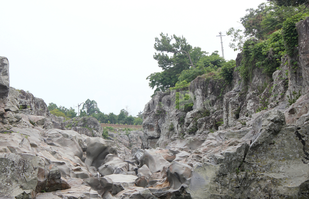 관광지,회색,그레이,한국,제주도,해안가,절벽,암벽,돌,바위,나무,숲,그린,자연,쇠소깍,에메랄드빛,산,섬,제주,녹색,스톤,제주아일랜드