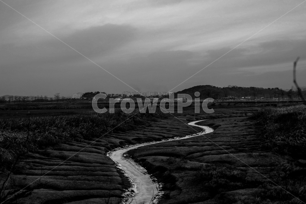 초겨울,갯벌,흑백,모노톤,하늘,길,자연,풍경,nature,landscape,흑백,모노톤,monochrome,black and white,outdoors,옥외