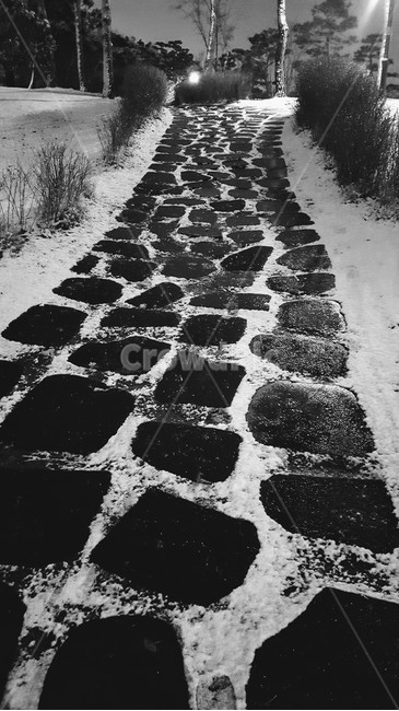 판석,보도,walkway,path,눈길
