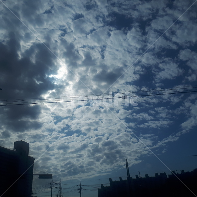 해빛,날씨,nature,옥외,번짐,구름
