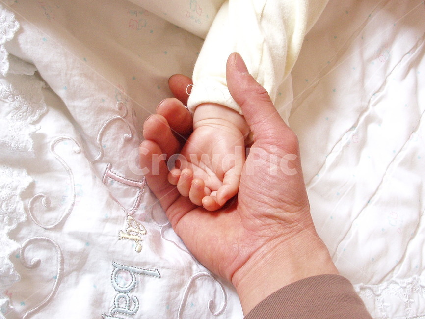 손,hand,보호,사랑,부성애,사람,인물,인간,human,person,신체일부,몸,body,영유아,아기,애기,아이,infants,baby