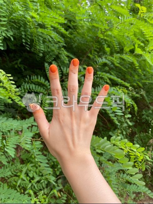 finger,balsam flower,person,Cargo delivery of balsam,human