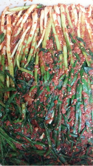 김치,파,쪽파,파김치,쪽파김치,음식,요리,food