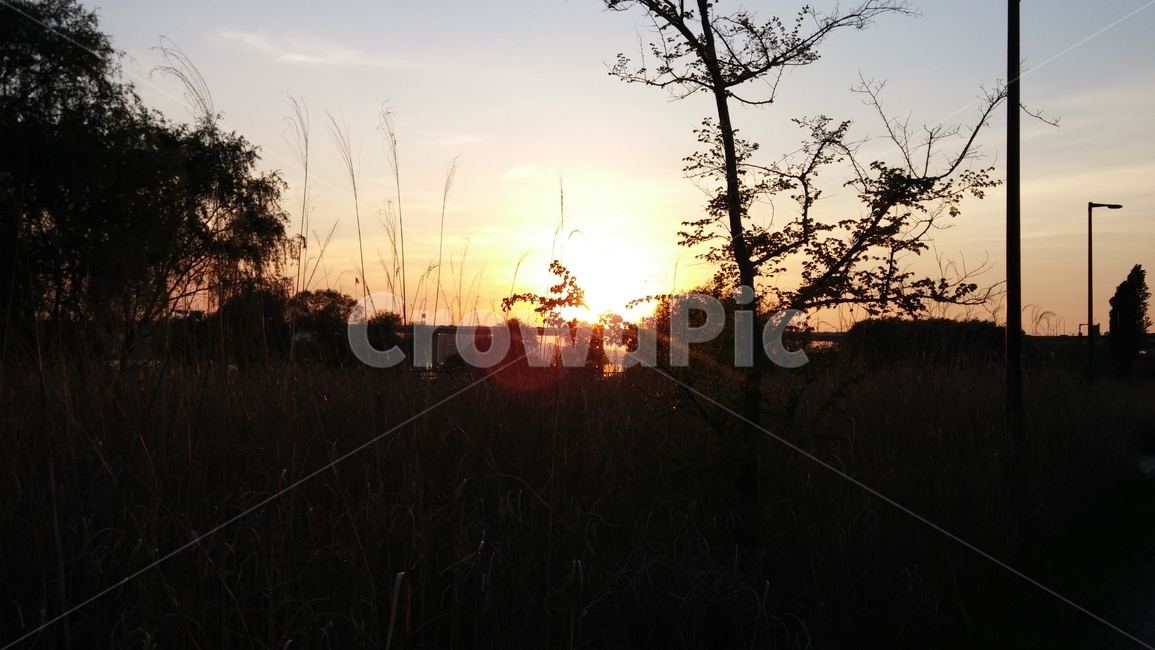 일몰,한강,야경,가을,강변,자연,풍경,nature,landscape,outdoors,옥외,light,빛,flare,플레어,sunlight,햇빛,dawn,새벽,dusk,황혼,red sky,붉은 하늘,sunset,sky,하늘