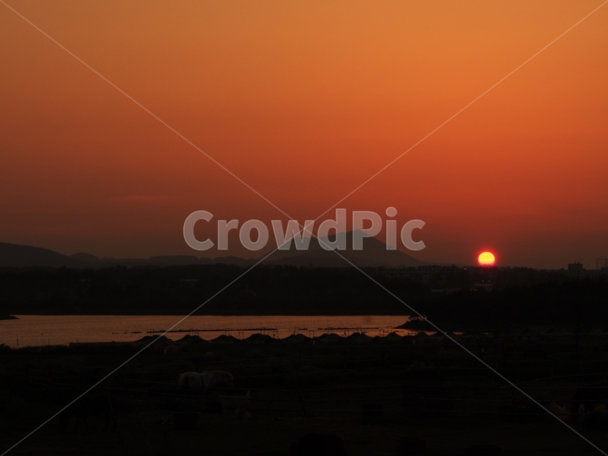 제주도,일몰,매직아워,태양,감성,색감,붉음,여유,감성사진,여행,sunset,island,jejudo,자연,풍경,nature,landscape,outdoors,옥외,sky,하늘,red sky,붉은 하늘,dusk,황혼,dawn,새벽,sunlight,햇빛