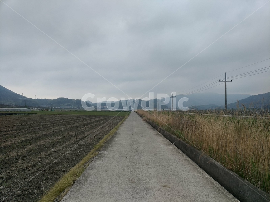 날씨,흐림,어두운,시골,countryside
