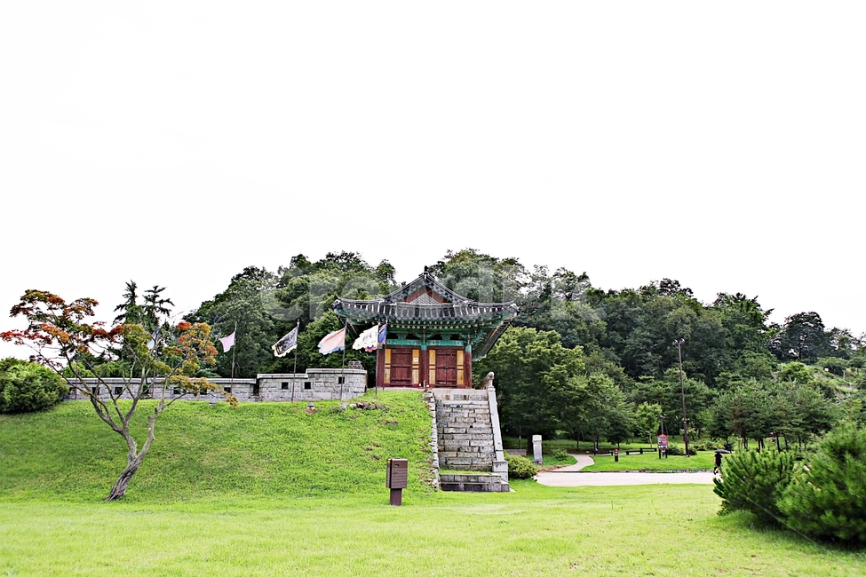 강화남문,성곽,옛성터,담,돌담,벽,풍경,식물,나무