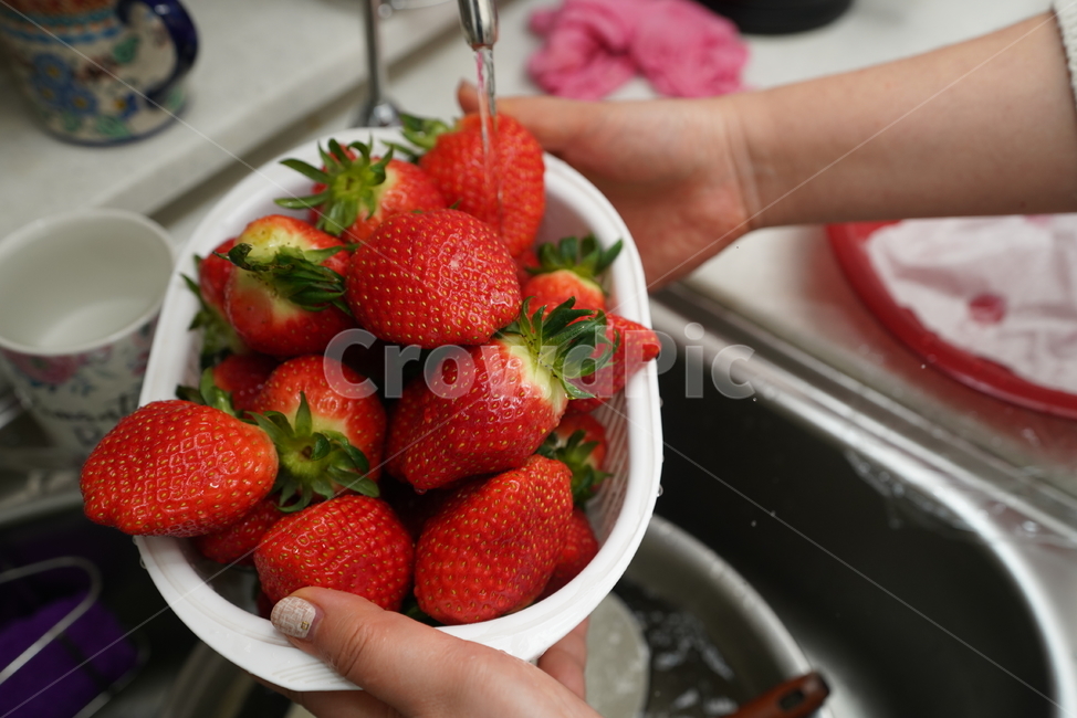 딸기,디저트,먹거리,비타민,빨강,레드,red,색감,음식,fruit,strawberry,과일