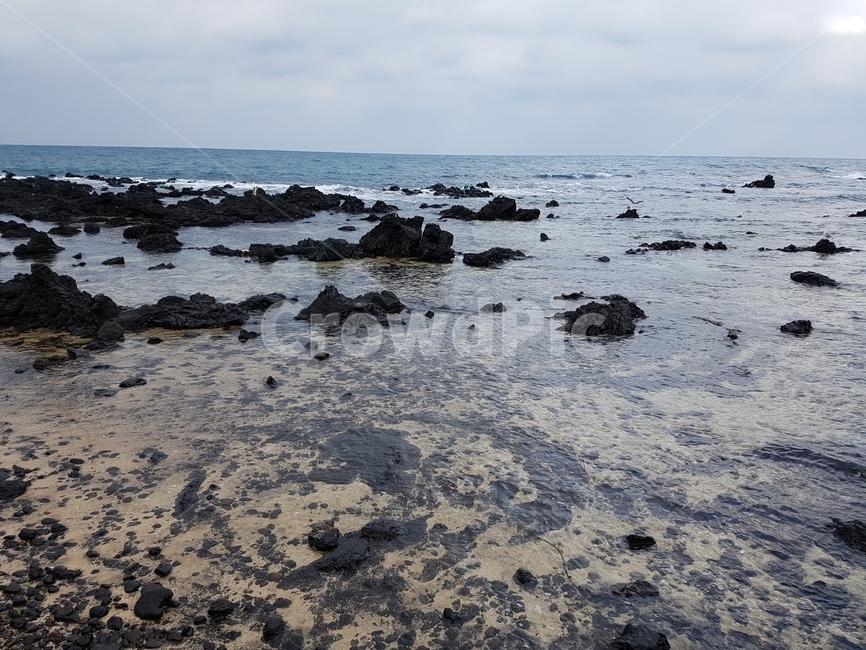 제주도,바다,애월,예쁜바다,겨울바다