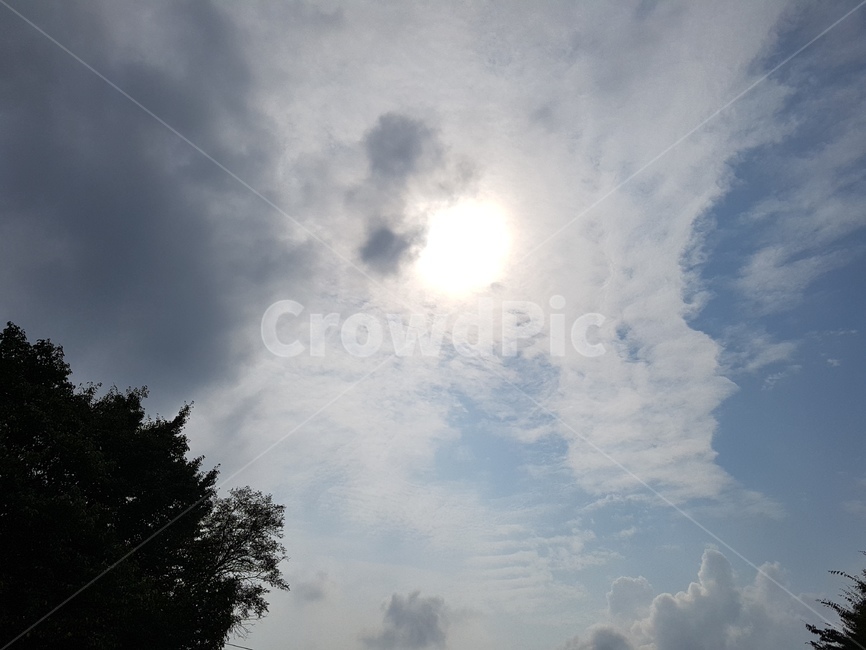 하늘,나무,구름,sky,cloud,tree