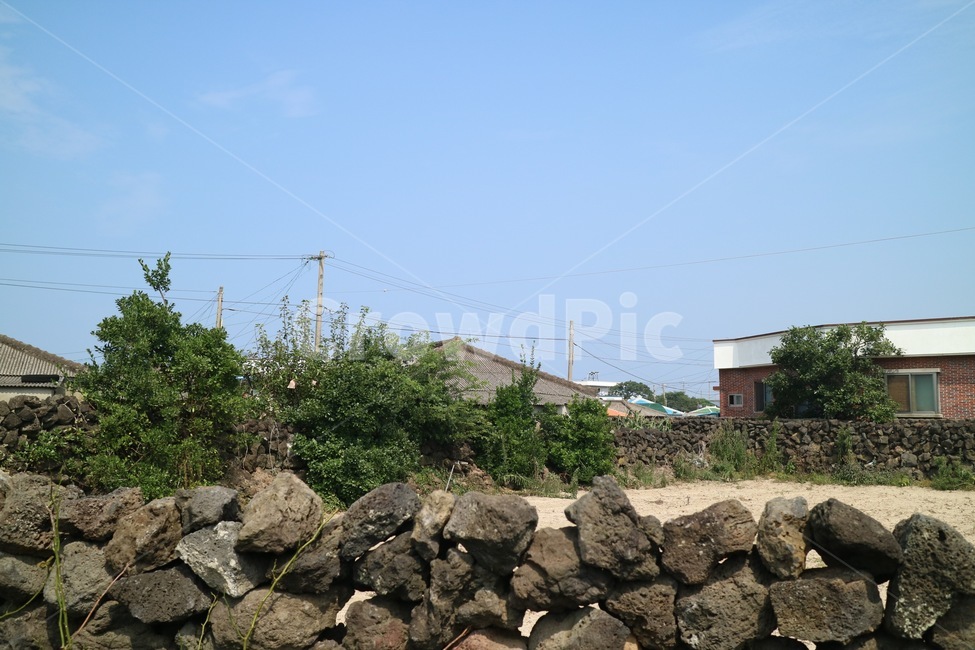 돌담,돌,시골,기왓집,나무,jeju