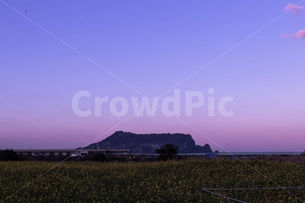 하늘,보라색,제주도,감성,풍경,성산일출봉,자연,풍경,nature,landscape,제주도,jeju,jeju island,색깔,색상,색채,색감,color sense,color sensitivity,feeling of color,outdoors,옥외